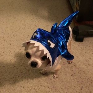 Meet your Posher, Douglas